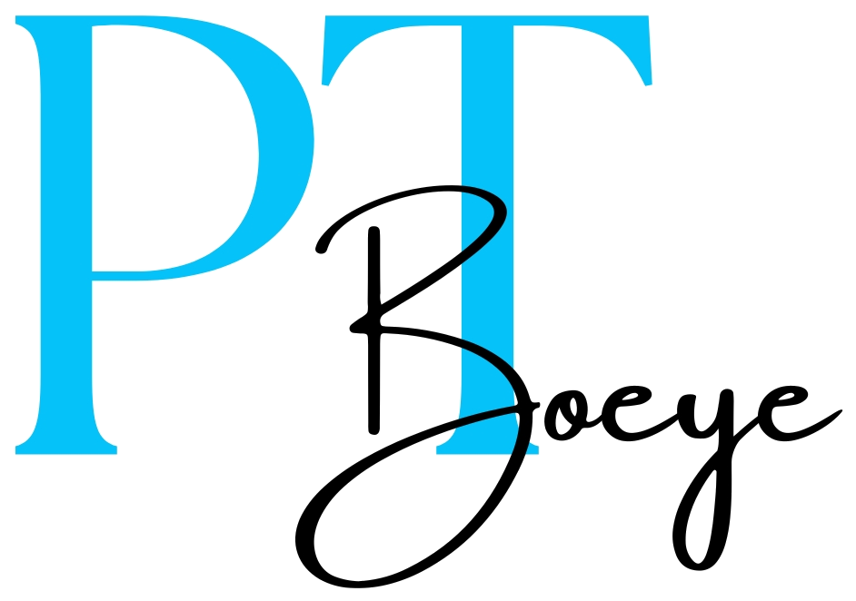 PT Boeye logo